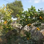 Nyaraló O Ioannis
