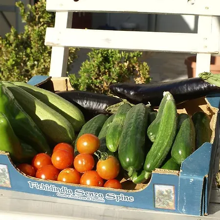 O Ioannis Dom wakacyjny