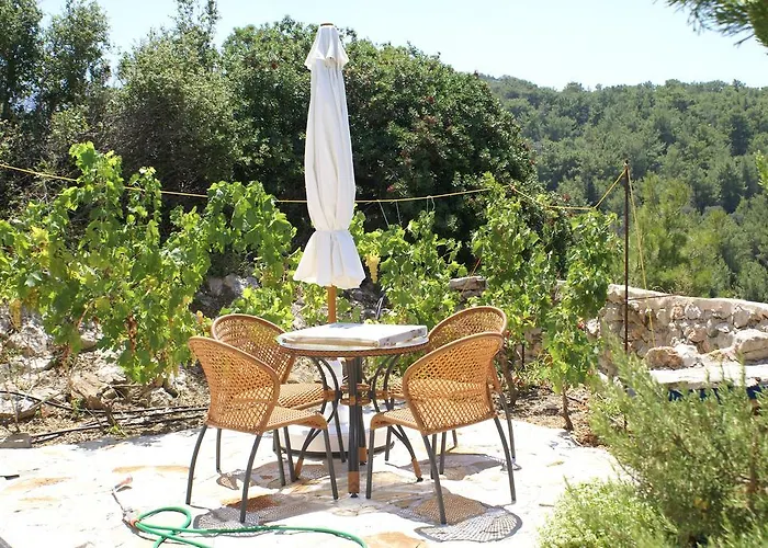 奥扬尼斯度假屋 *