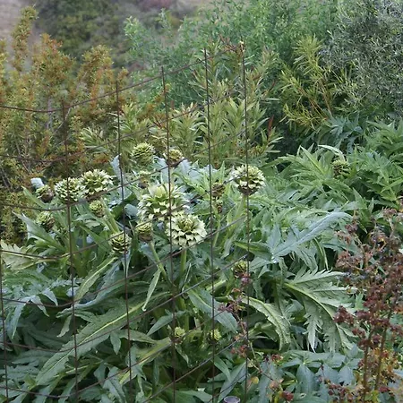 O Ioannis Ferienhaus Kritinía