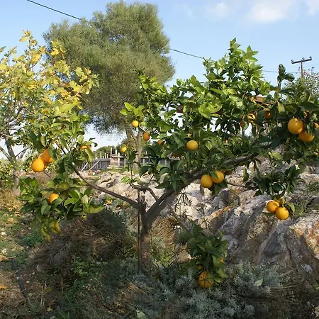Casa de Férias O Ioannis