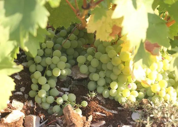 O Ioannis Casa de Férias Kritinía